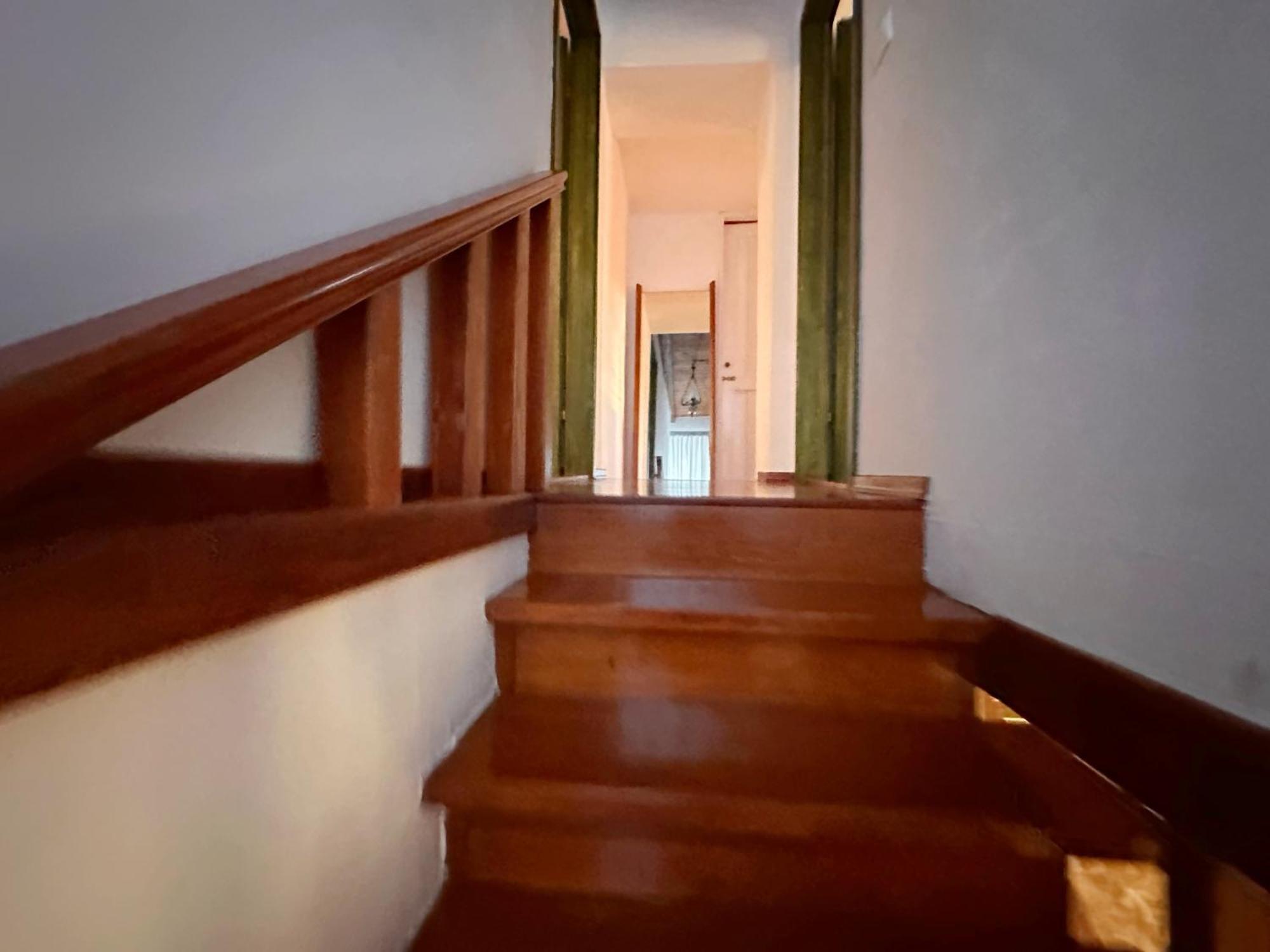 Apartments Cvita Veli Lošinj Dış mekan fotoğraf