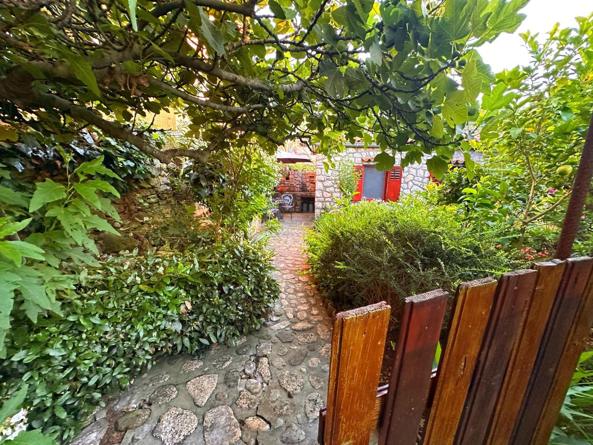 Apartments Cvita Veli Lošinj Dış mekan fotoğraf