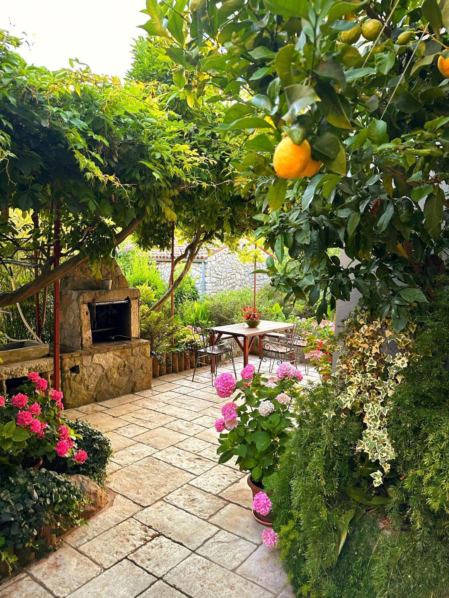 Apartments Cvita Veli Lošinj Dış mekan fotoğraf