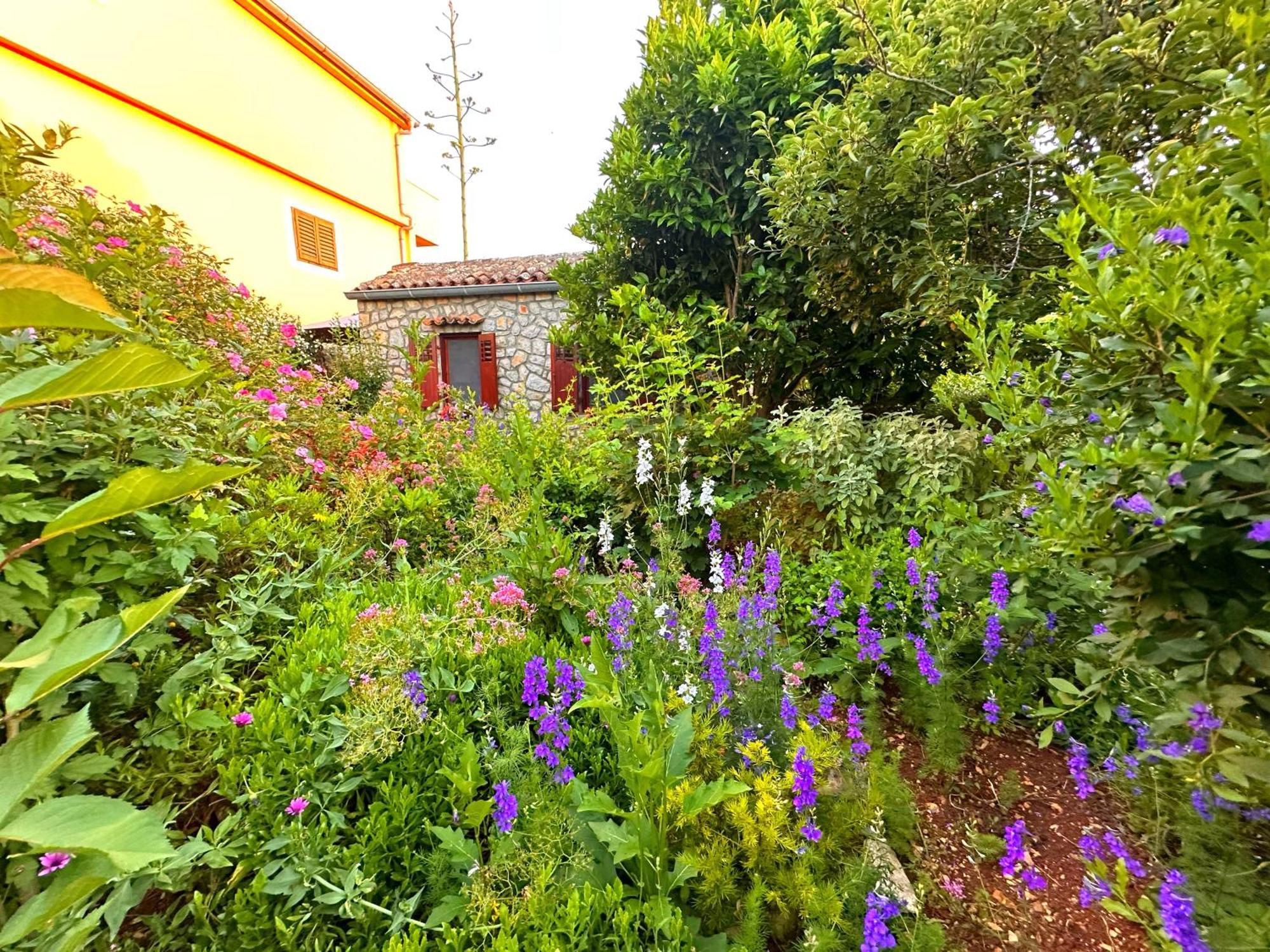 Apartments Cvita Veli Lošinj Dış mekan fotoğraf