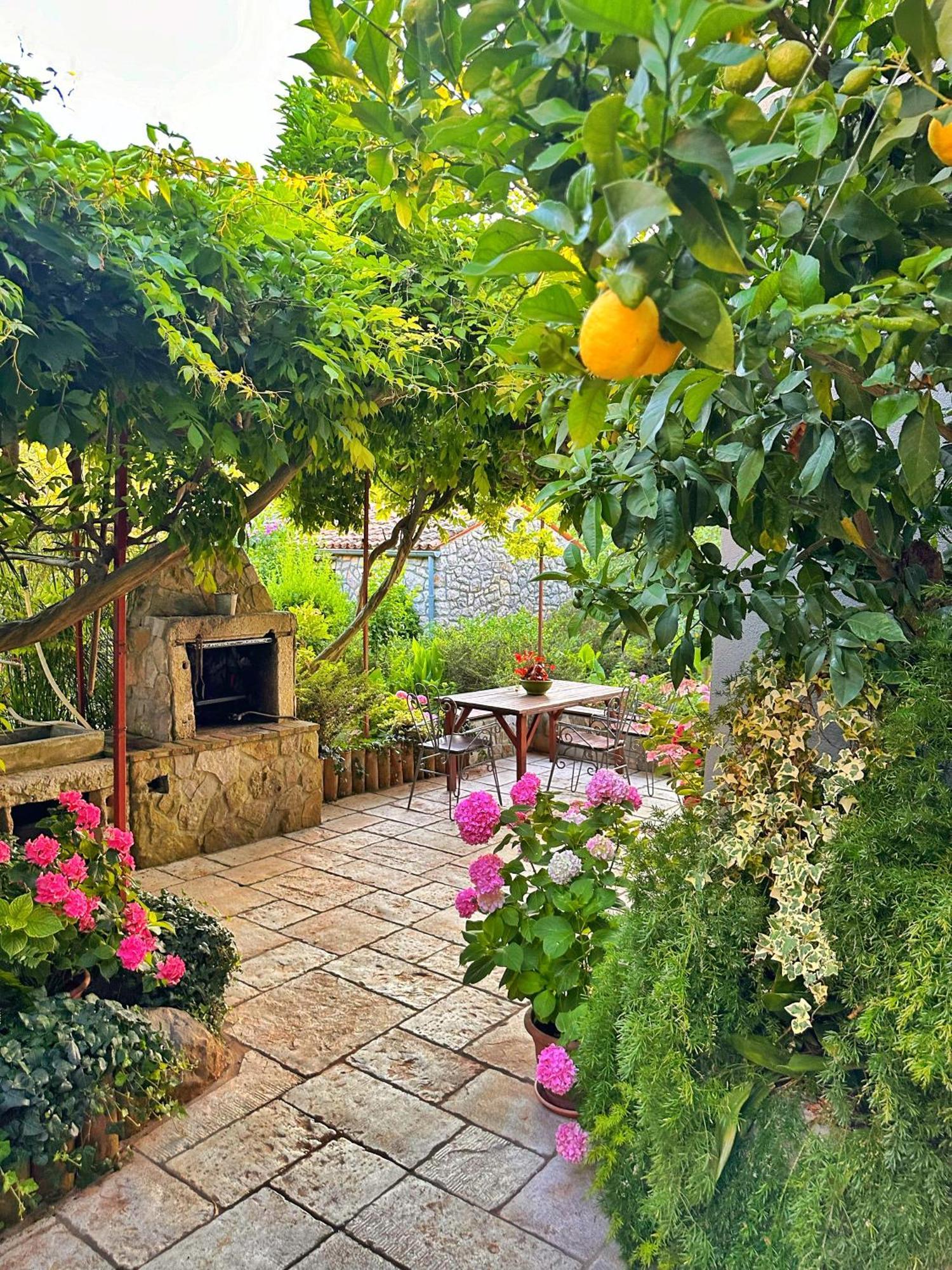 Apartments Cvita Veli Lošinj Dış mekan fotoğraf