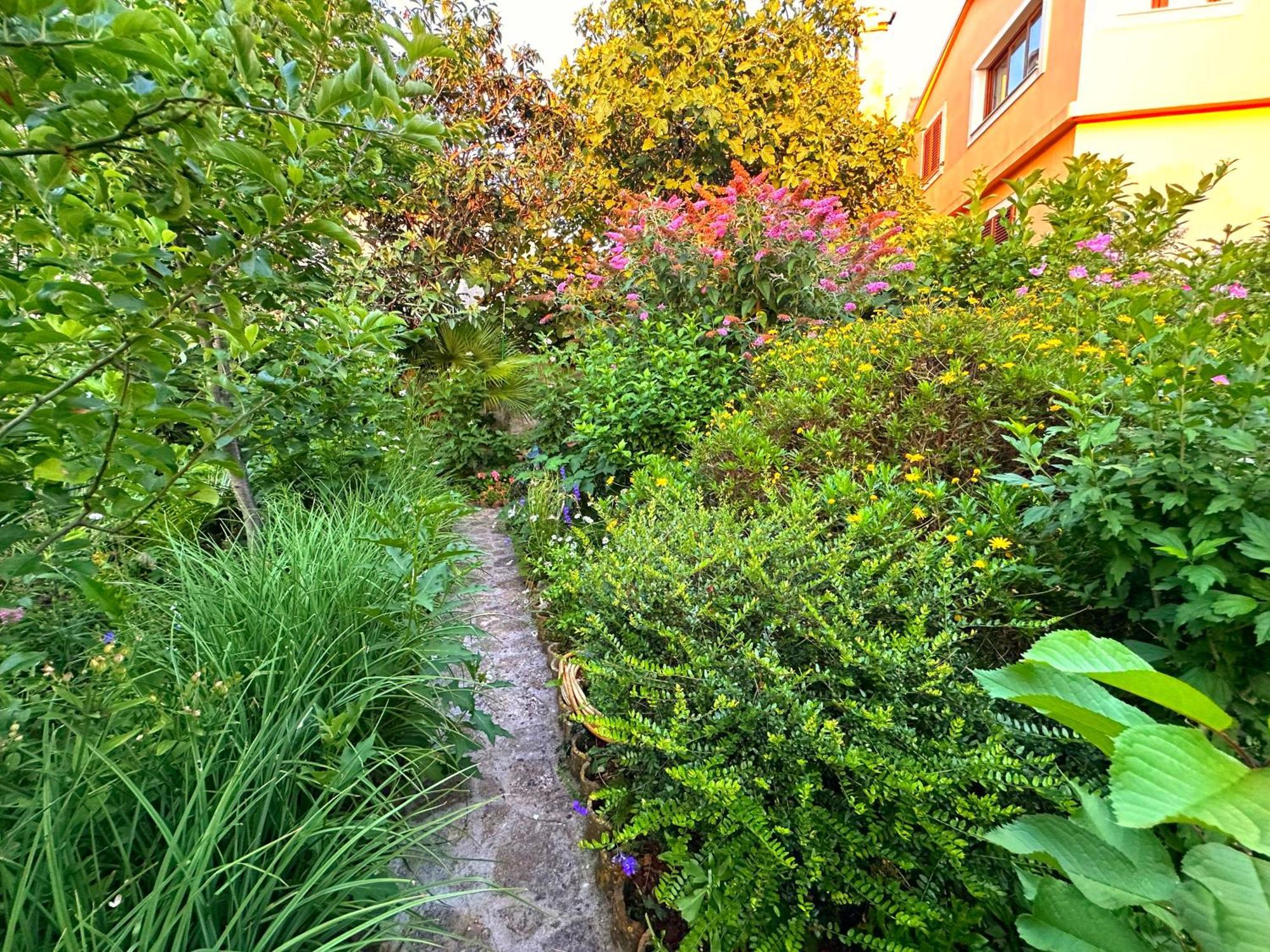 Apartments Cvita Veli Lošinj Dış mekan fotoğraf