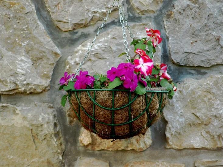 Apartments Cvita Veli Lošinj Dış mekan fotoğraf