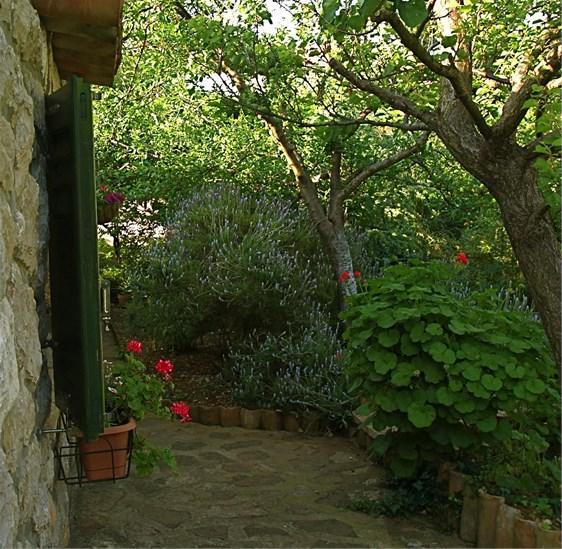 Apartments Cvita Veli Lošinj Dış mekan fotoğraf